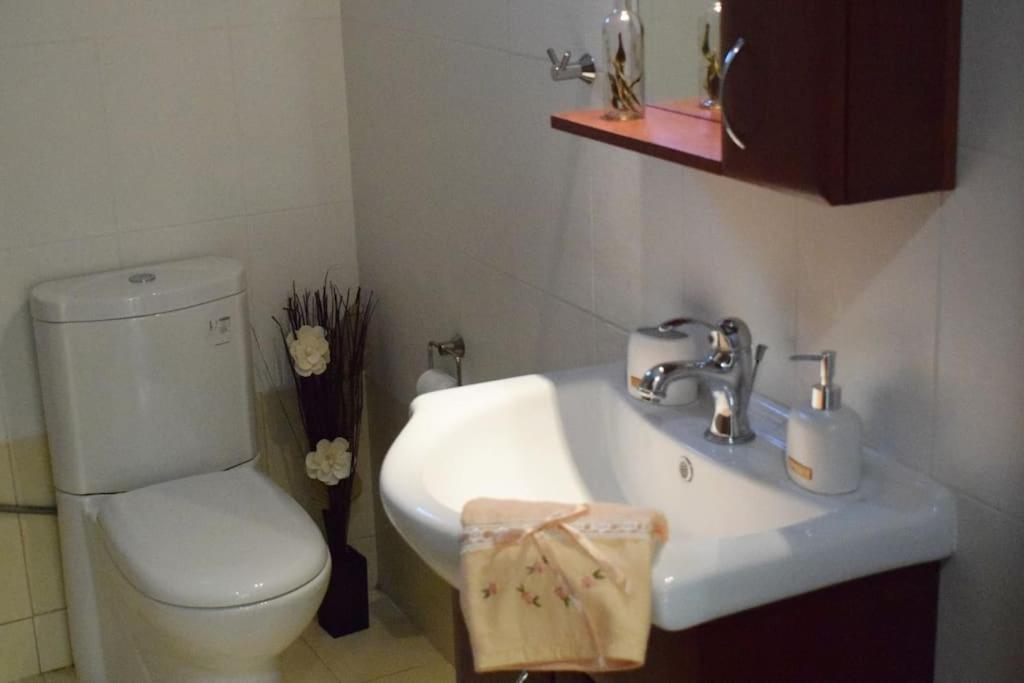 Deppy'S House Κοντά Στα Λουτρά Πόζαρ Apartment Chrysi ภายนอก รูปภาพ