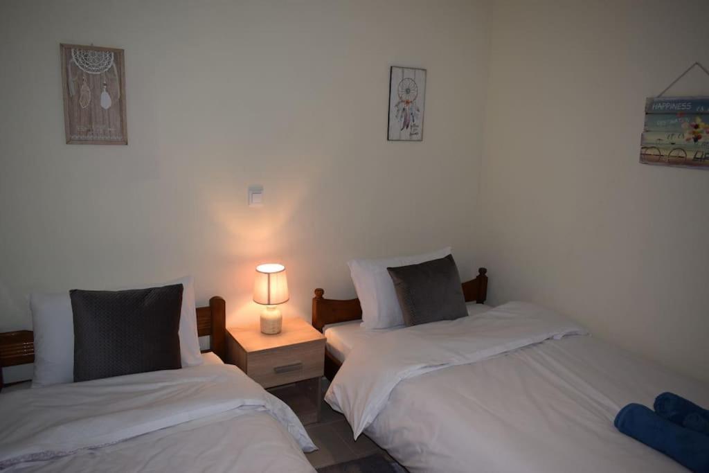Deppy'S House Κοντά Στα Λουτρά Πόζαρ Apartment Chrysi ภายนอก รูปภาพ