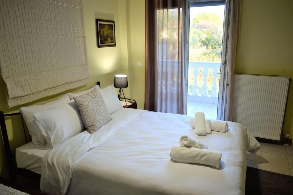 Deppy'S House Κοντά Στα Λουτρά Πόζαρ Apartment Chrysi ภายนอก รูปภาพ